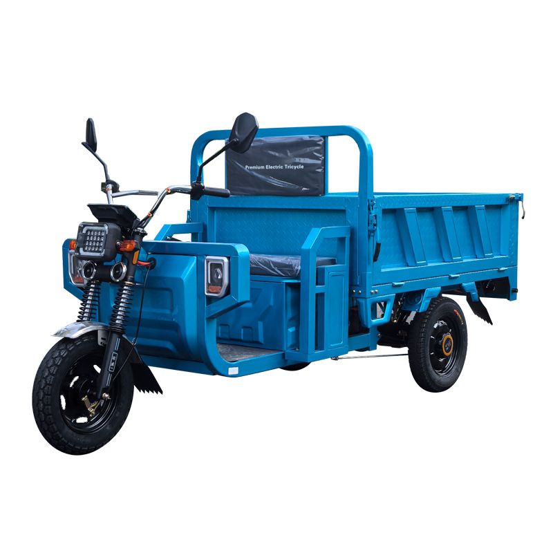 Electric tricycle household sc - Power Tools King 评论和价格